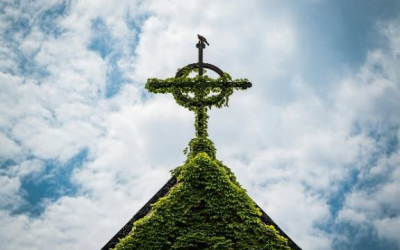 ECO CHURCH NEWS December 2025